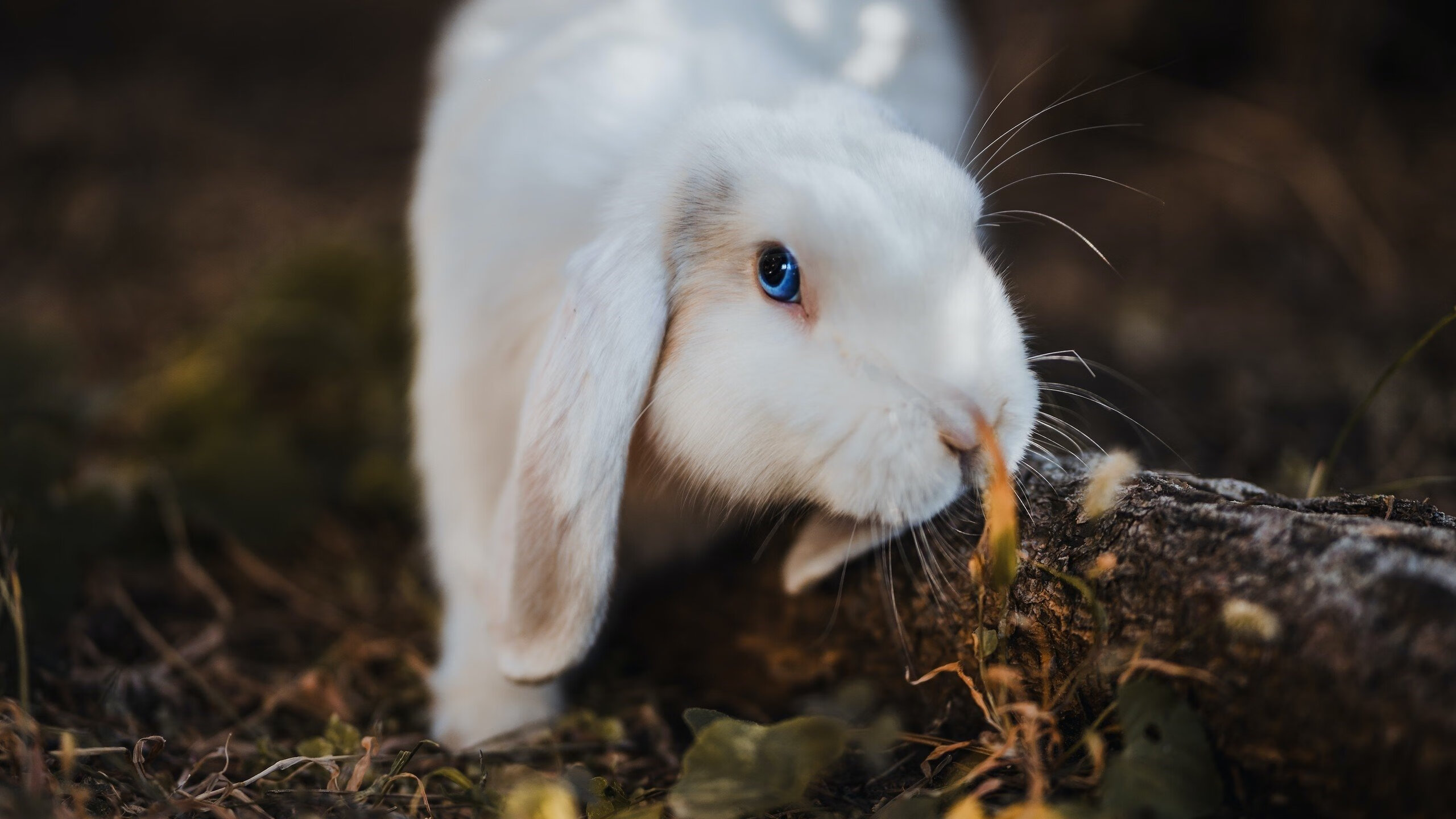 JIUYOU GAMING-体育科技创新成果亮相全国篮球创新大会，体育科技创新项目