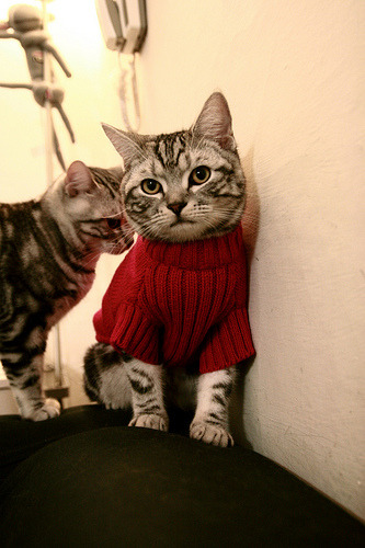 LCS战队为季后赛冲刺,lcs前几名进季后赛