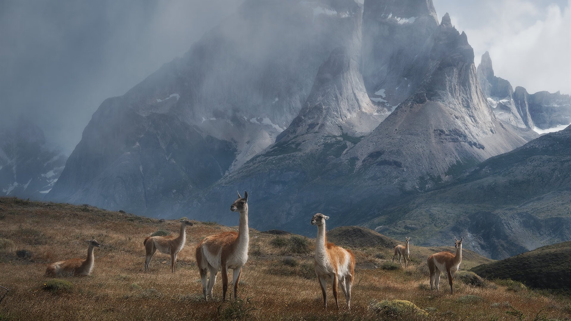 九游网游官网-中国足球俱乐部商业化进程加快，中国足球俱乐部商业化进程加快的原因