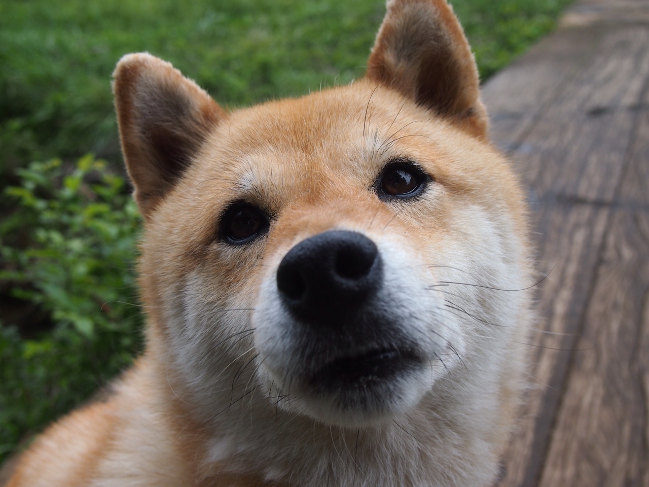 -凯撒酋长主场迎战奥兰多海盗，德比战备受关注，凯撒大帝与海盗