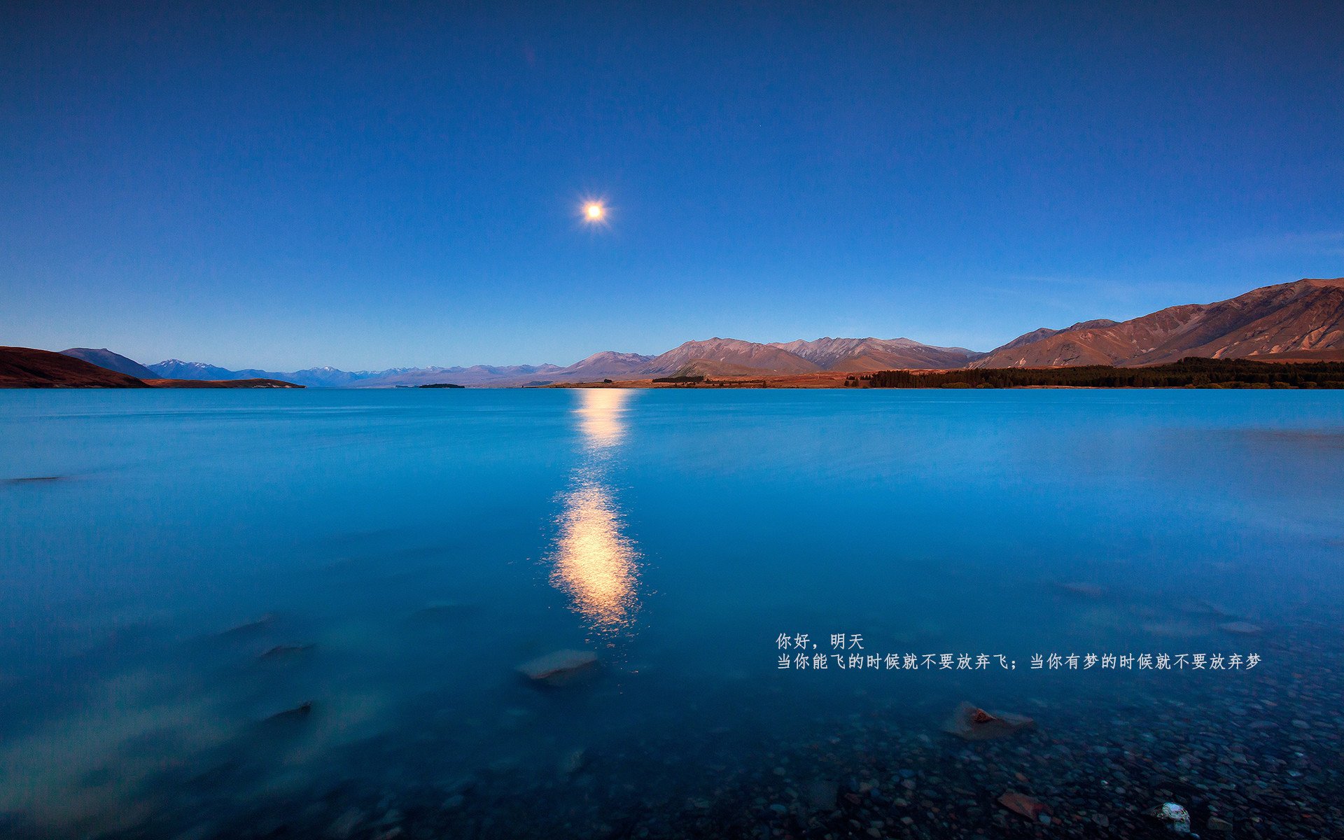 九游下载安装-国际足坛最新：女子比赛中的激烈竞争！，女子足球锦标赛