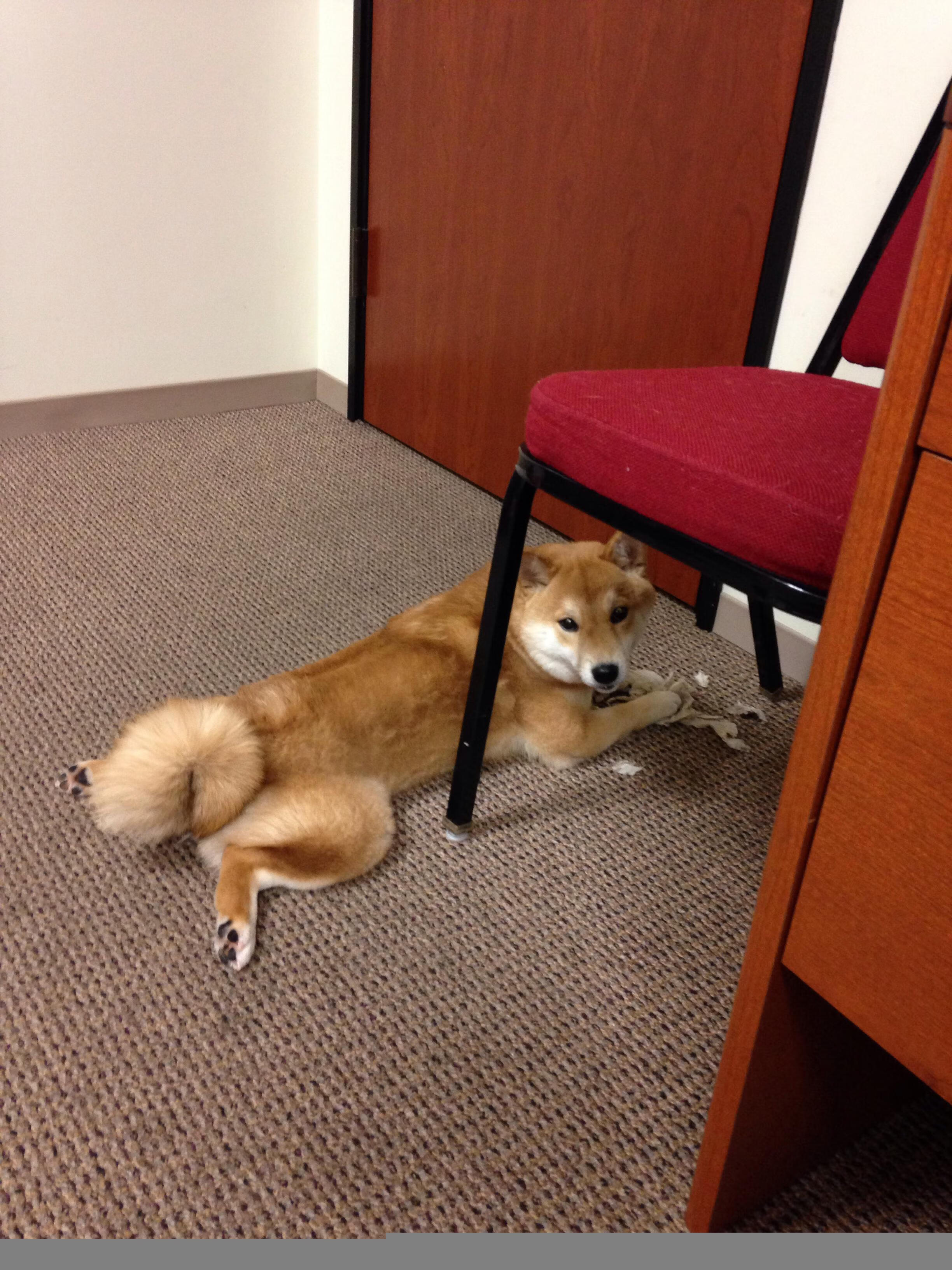 九游游戏中心官网-球队实力悬殊，战斗力有待检验！，怎么分析球队实力