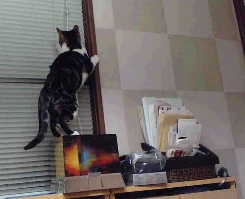 索尔斯克亚调整战术,曼联客场获胜走向复苏,索尔斯克亚在曼联穿几号球衣