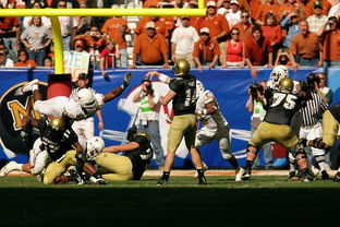 九游娱乐(jiuyou)官方网站-中国篮球职业联赛青年球员培养体系建设，青年篮球训练机构