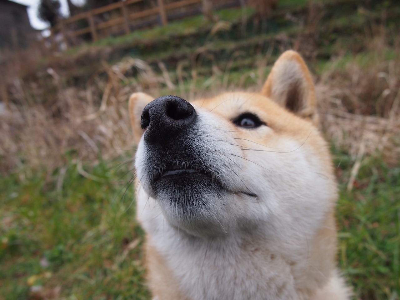 -中国香港队的成功秘诀：如何在国际乒联混合团体世界杯中战胜强敌