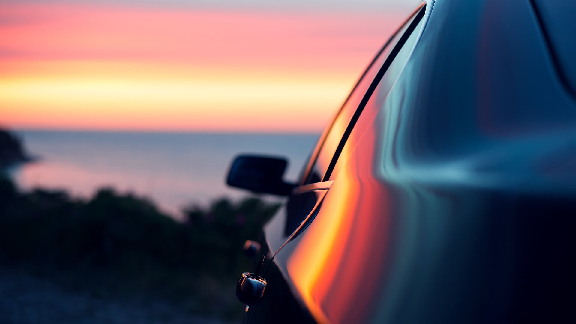 大学生体育文化节展现青春风采,大学生体育文化节展现青春风采的句子