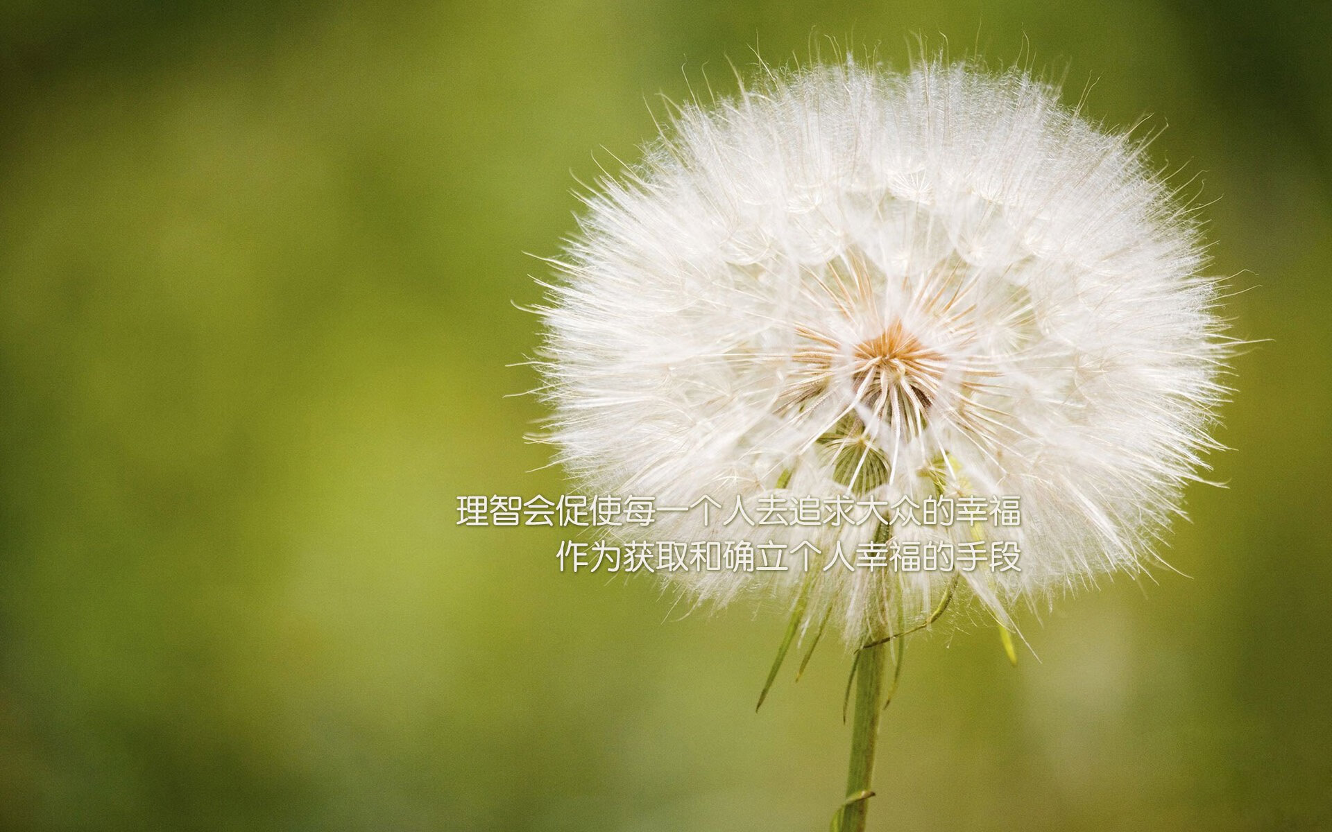 九游9游-世界杯战略大演练：变阵、奇兵，精彩不断！，世界杯讲解