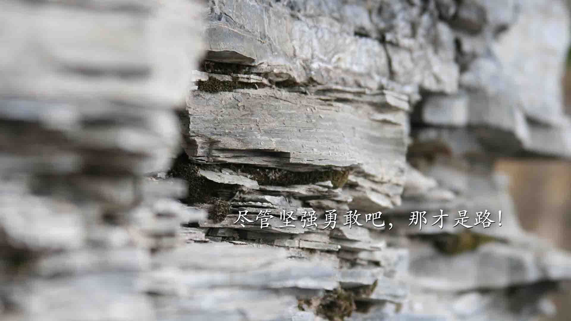 九游APP官网-法甲梦想新星：崭露头角，未来领袖！，法甲潜力球员